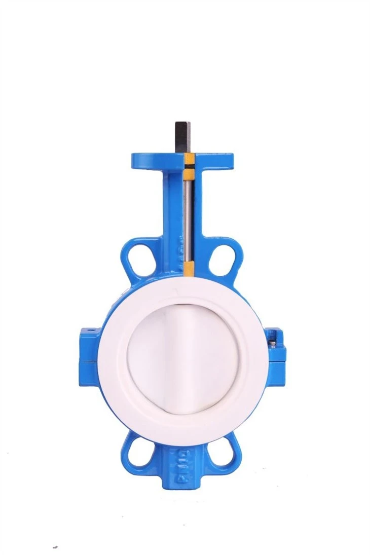 OEM PTFE Corrosion-Resistant Butterfly Valve